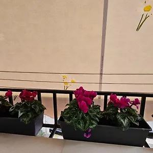  Appartement Center